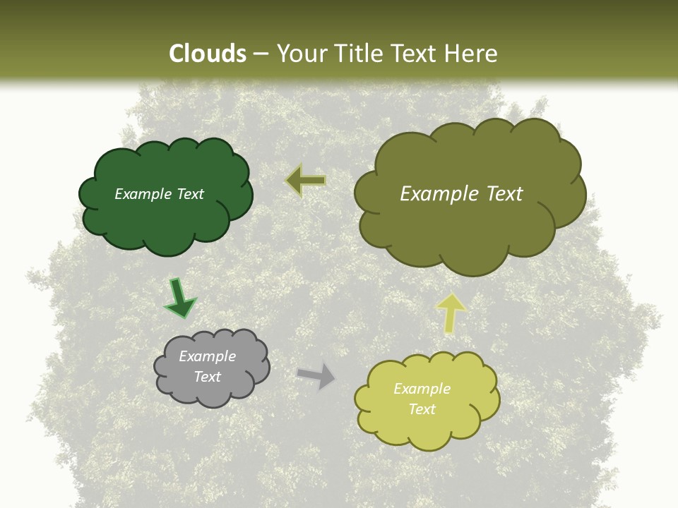 Concept Ball Fronded PowerPoint Template