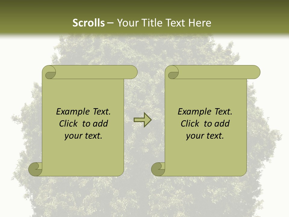 Concept Ball Fronded PowerPoint Template