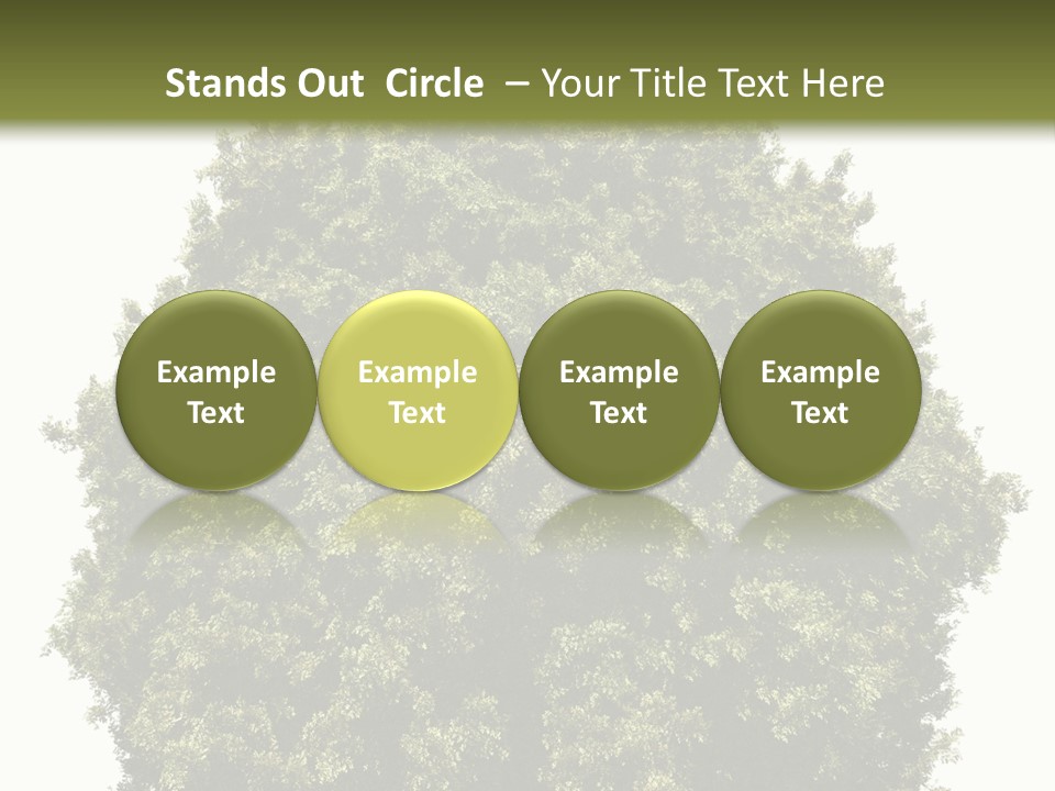 Concept Ball Fronded PowerPoint Template