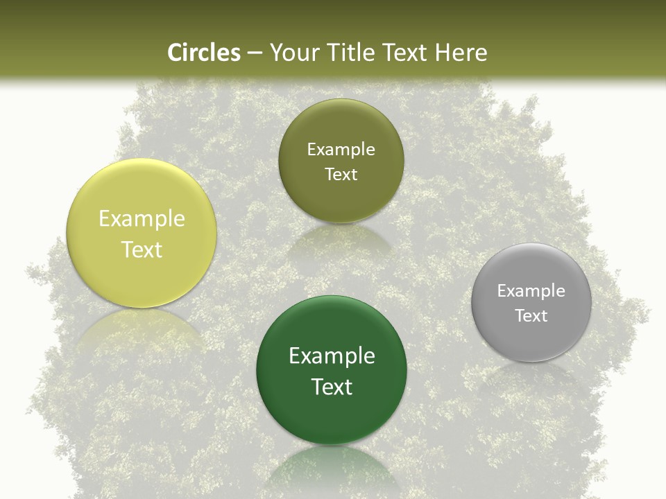 Concept Ball Fronded PowerPoint Template