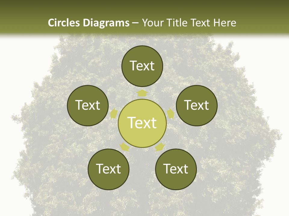 Concept Ball Fronded PowerPoint Template