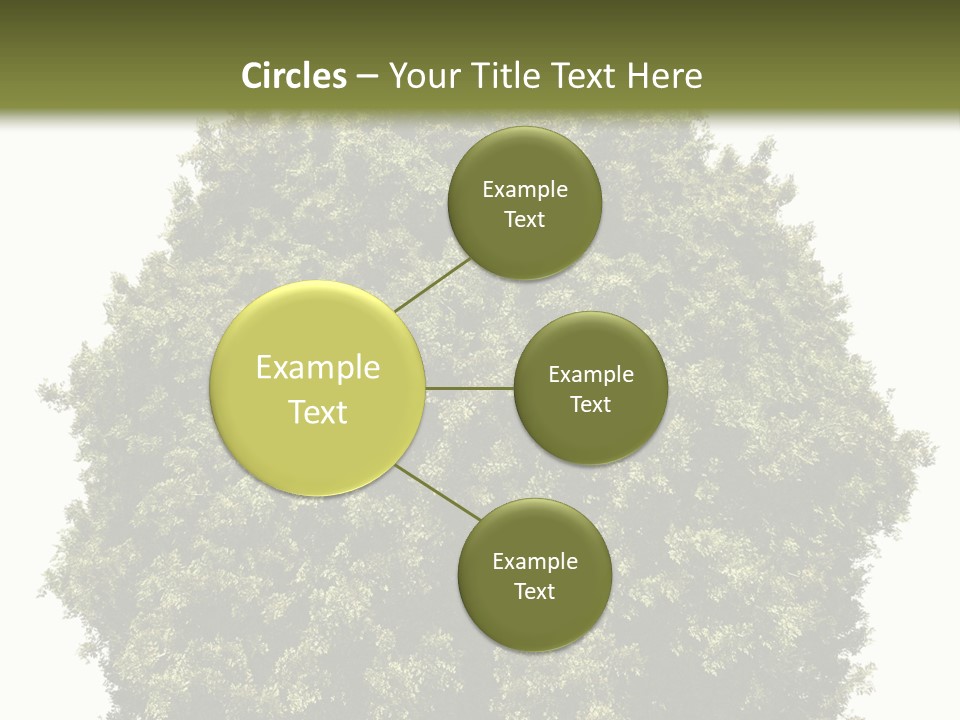 Concept Ball Fronded PowerPoint Template