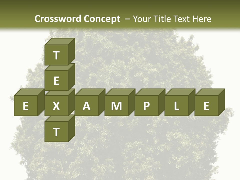 Concept Ball Fronded PowerPoint Template