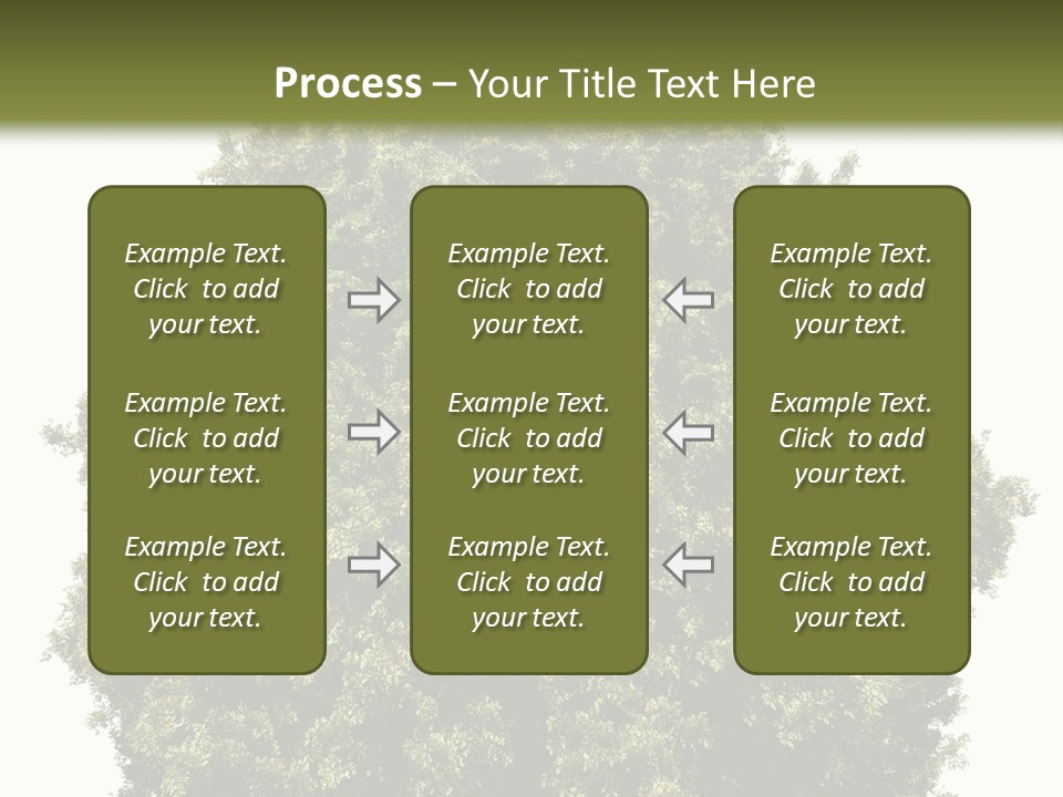 Concept Ball Fronded PowerPoint Template