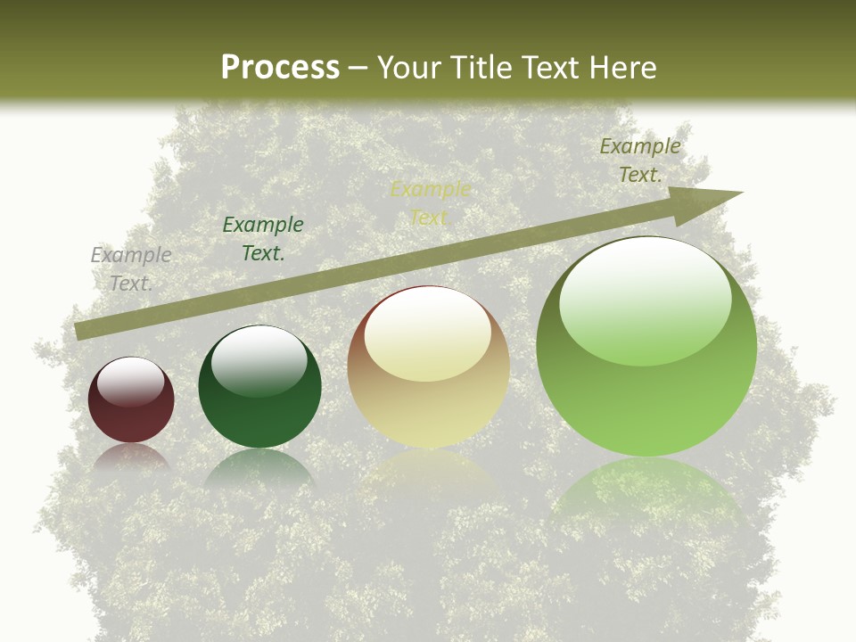 Concept Ball Fronded PowerPoint Template