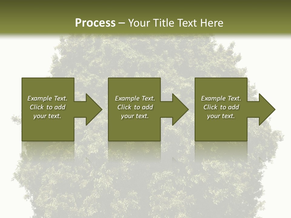 Concept Ball Fronded PowerPoint Template