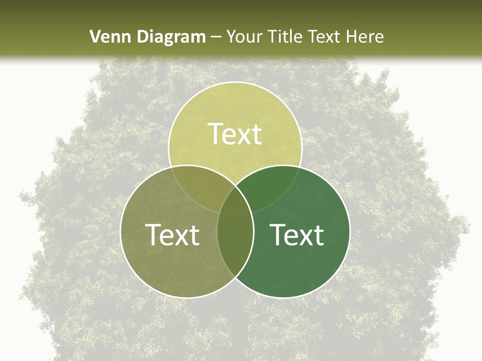 Concept Ball Fronded PowerPoint Template