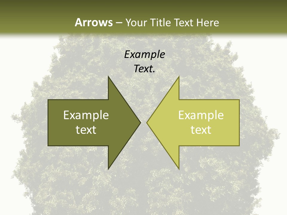 Concept Ball Fronded PowerPoint Template