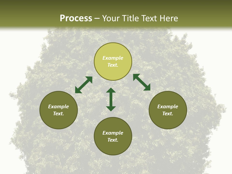Concept Ball Fronded PowerPoint Template