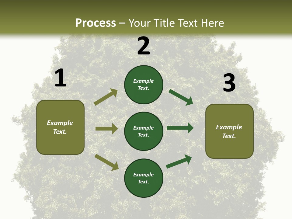 Concept Ball Fronded PowerPoint Template
