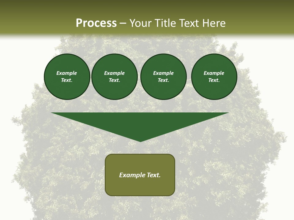 Concept Ball Fronded PowerPoint Template
