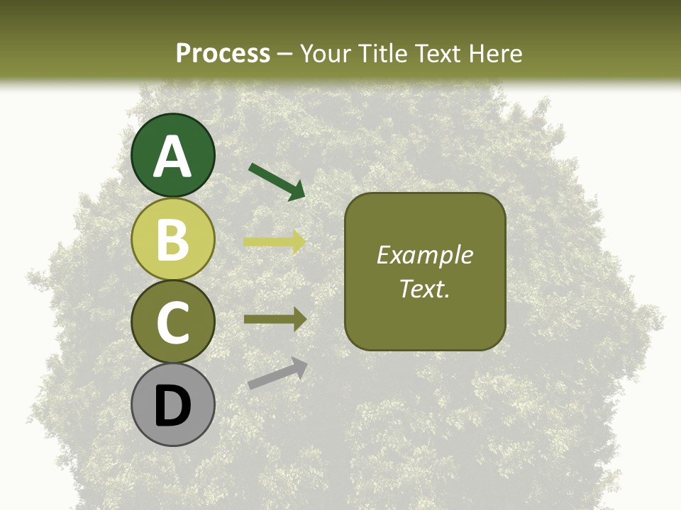 Concept Ball Fronded PowerPoint Template
