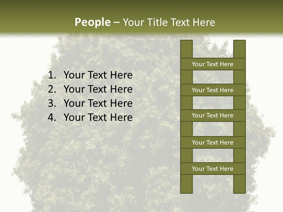 Concept Ball Fronded PowerPoint Template