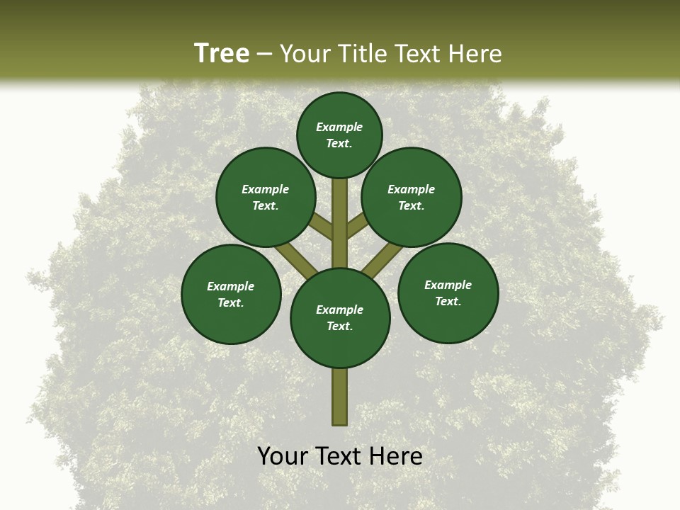 Concept Ball Fronded PowerPoint Template