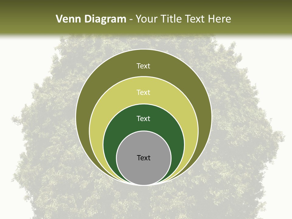 Concept Ball Fronded PowerPoint Template