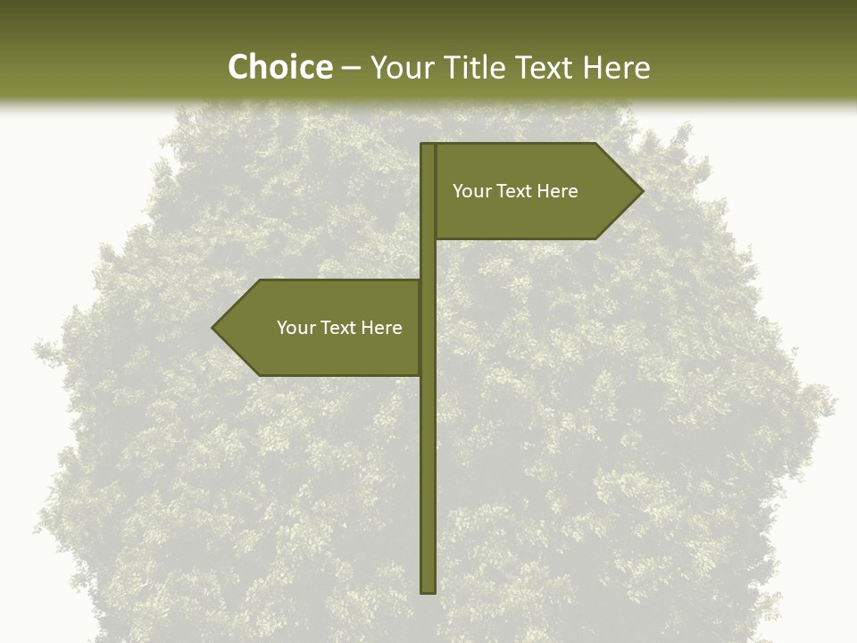 Concept Ball Fronded PowerPoint Template