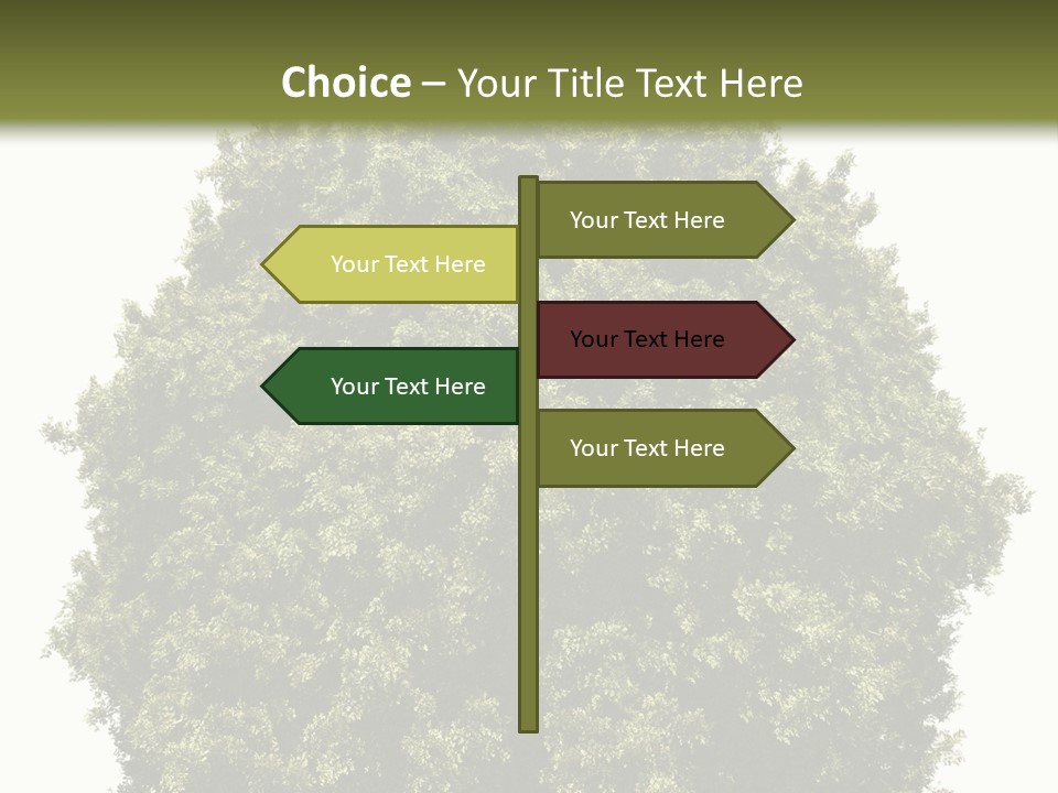 Concept Ball Fronded PowerPoint Template