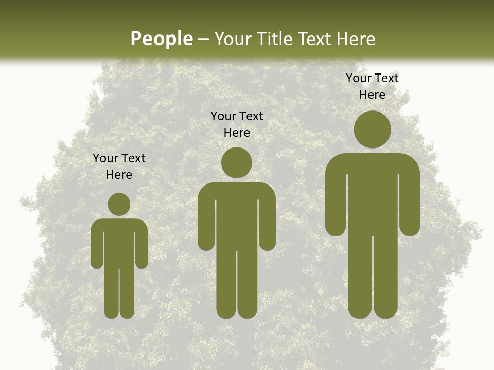 Concept Ball Fronded PowerPoint Template