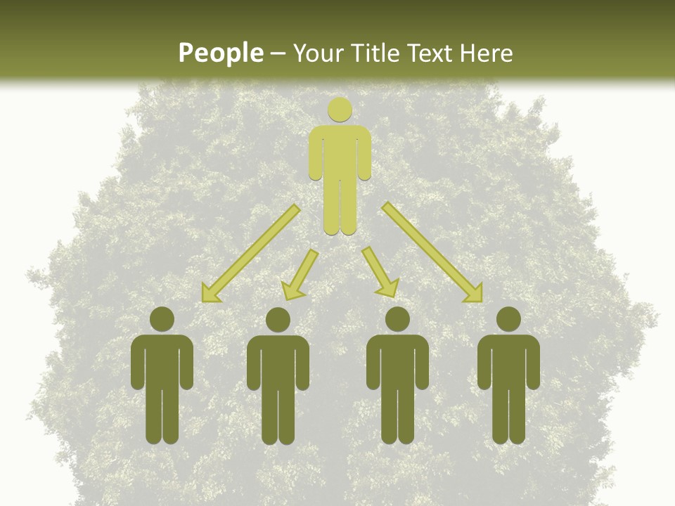 Concept Ball Fronded PowerPoint Template