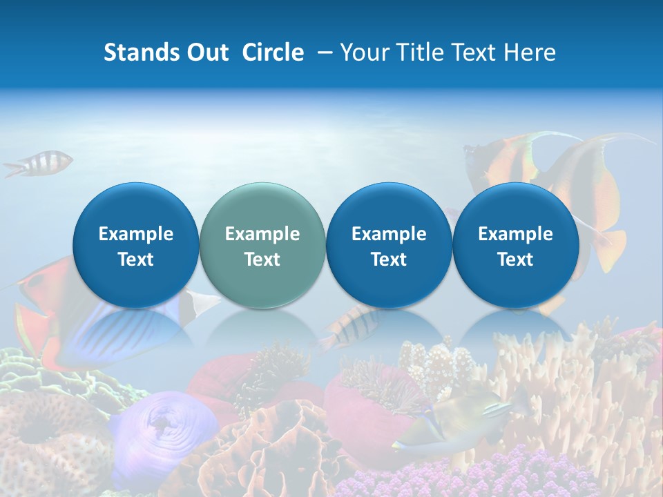 Ultra Wide PowerPoint Template