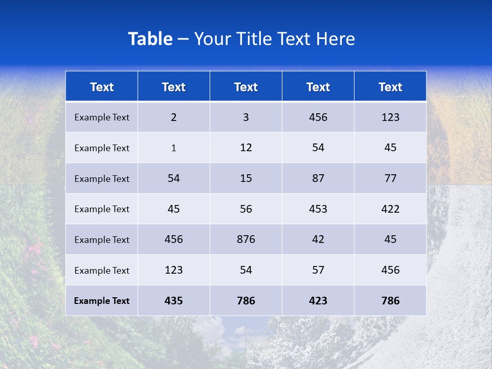 Four Seasons PowerPoint Template
