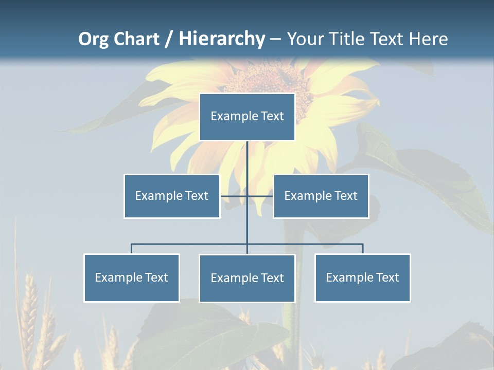 Flower Bright Bee PowerPoint Template