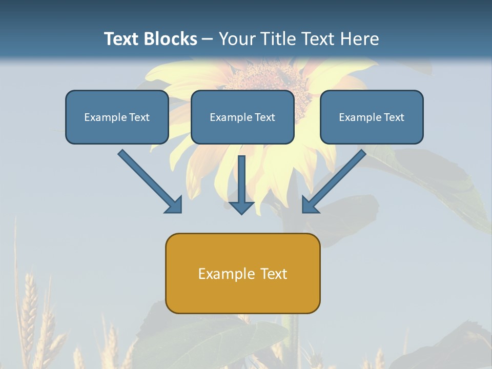 Flower Bright Bee PowerPoint Template