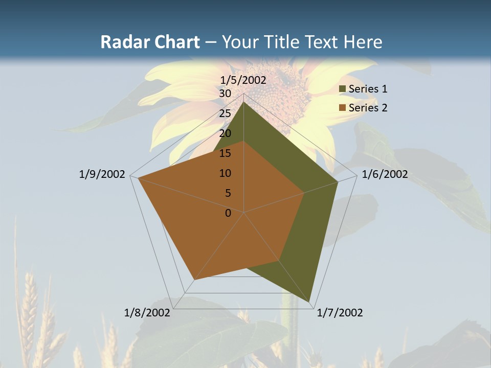 Flower Bright Bee PowerPoint Template