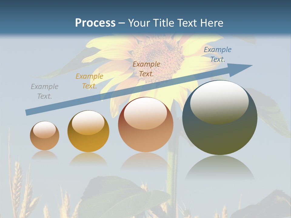 Flower Bright Bee PowerPoint Template