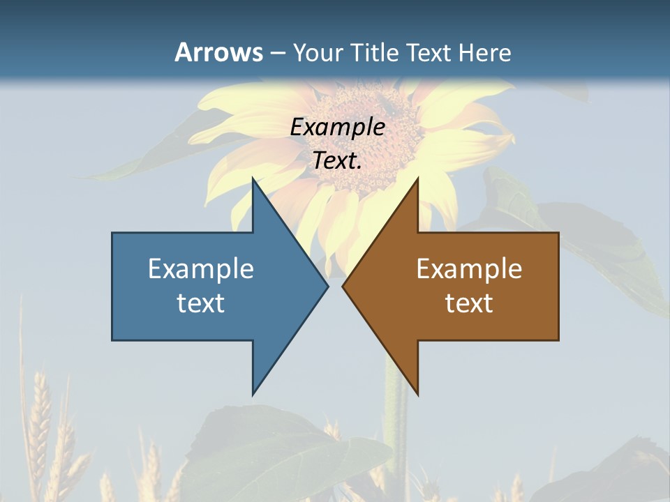 Flower Bright Bee PowerPoint Template