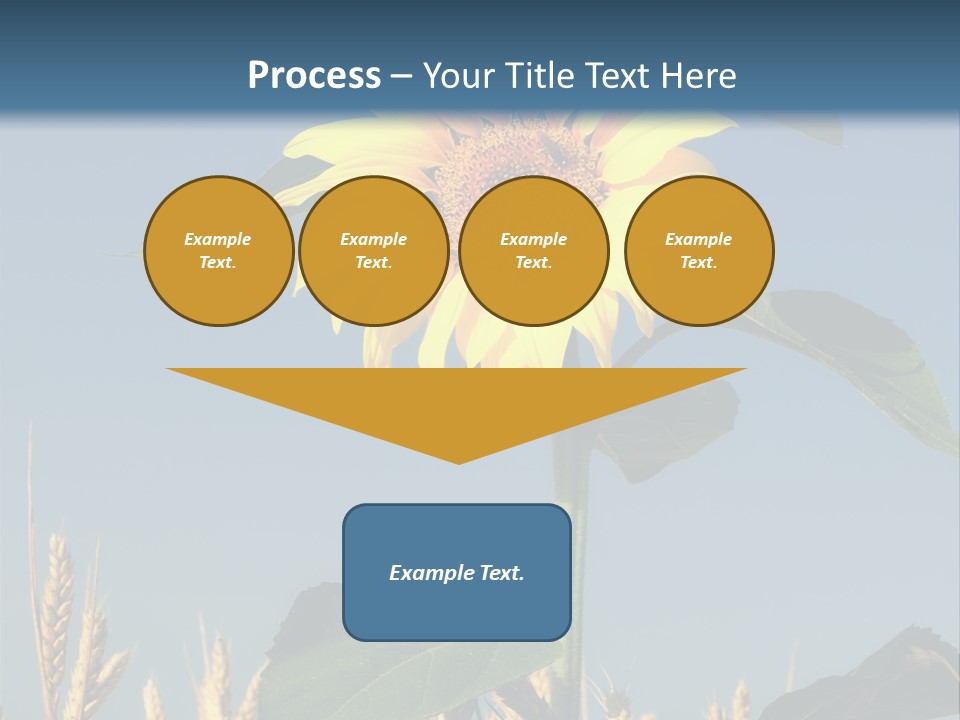 Flower Bright Bee PowerPoint Template