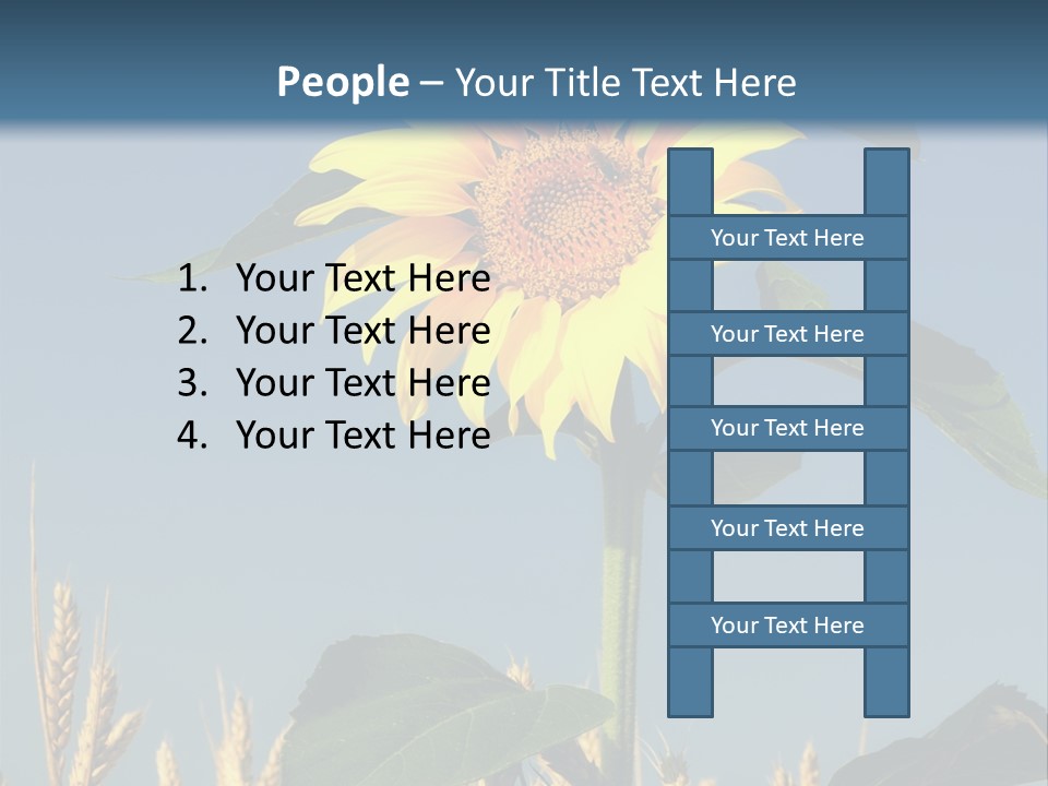 Flower Bright Bee PowerPoint Template