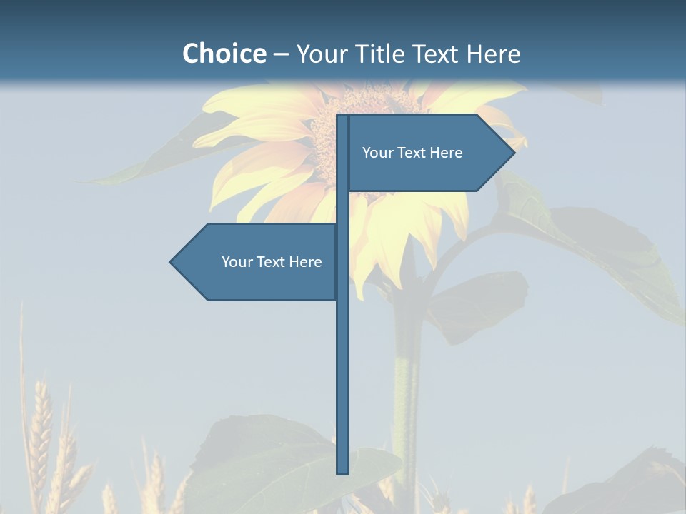 Flower Bright Bee PowerPoint Template