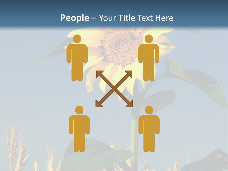 Flower Bright Bee PowerPoint Template