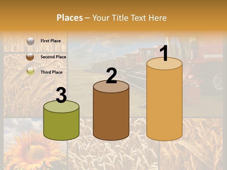 Sunflower Field Work PowerPoint Template