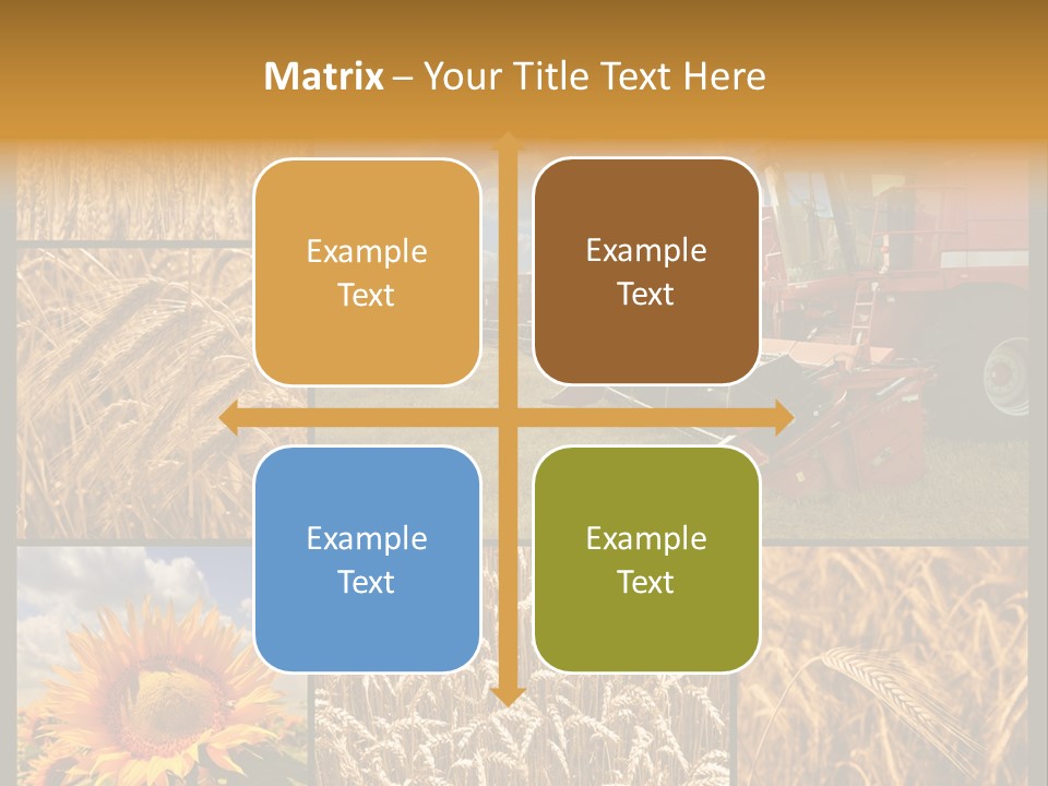 Sunflower Field Work PowerPoint Template