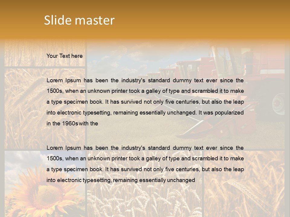 Sunflower Field Work PowerPoint Template