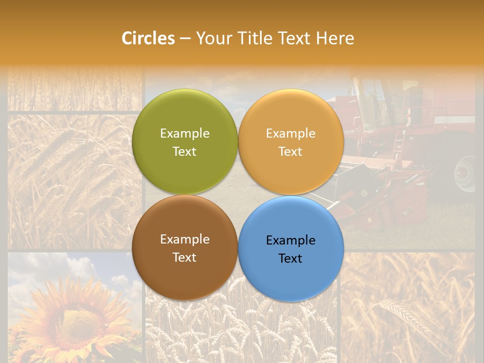 Sunflower Field Work PowerPoint Template