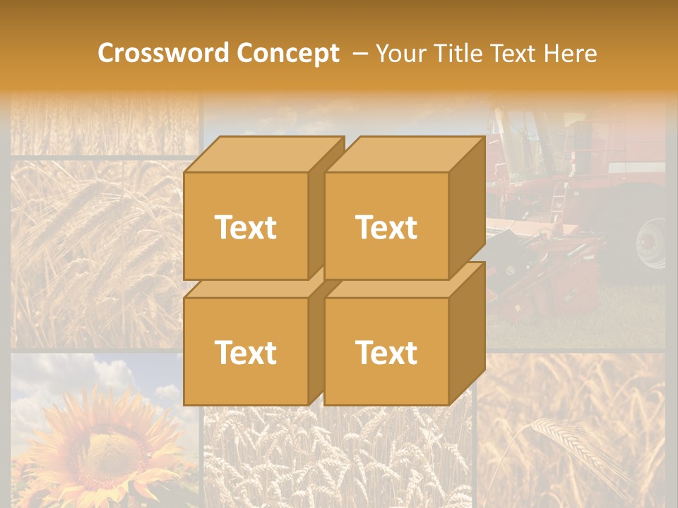 Sunflower Field Work PowerPoint Template