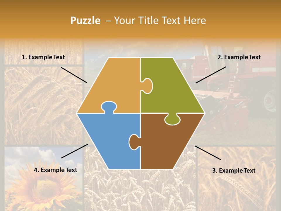 Sunflower Field Work PowerPoint Template