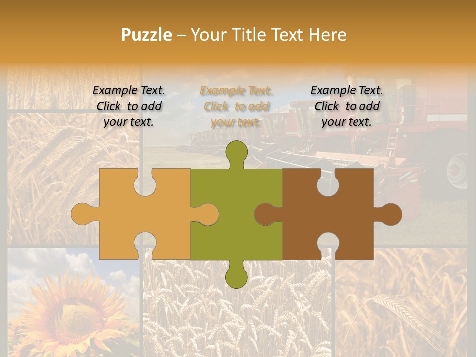 Sunflower Field Work PowerPoint Template