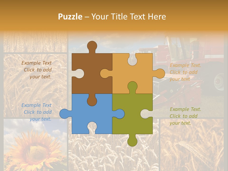 Sunflower Field Work PowerPoint Template