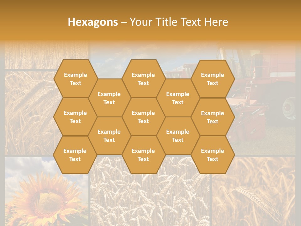 Sunflower Field Work PowerPoint Template