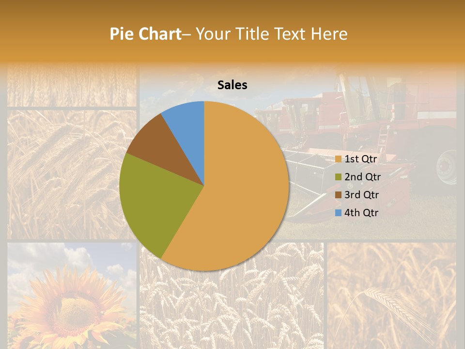 Sunflower Field Work PowerPoint Template