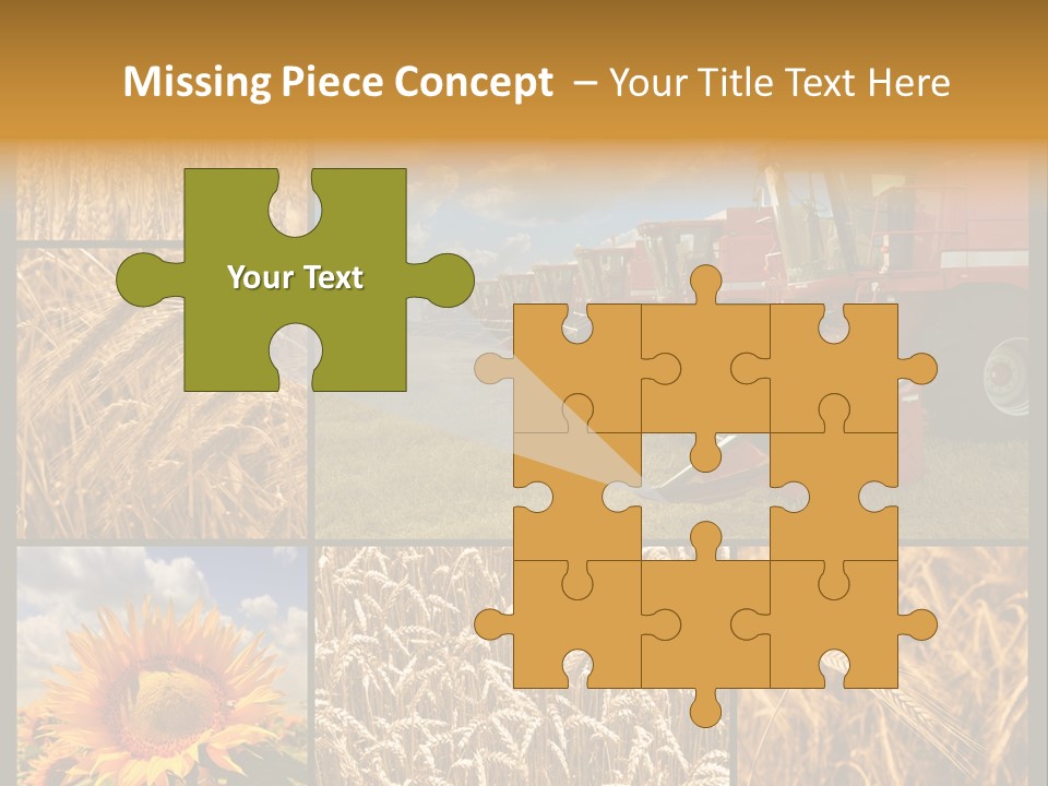 Sunflower Field Work PowerPoint Template