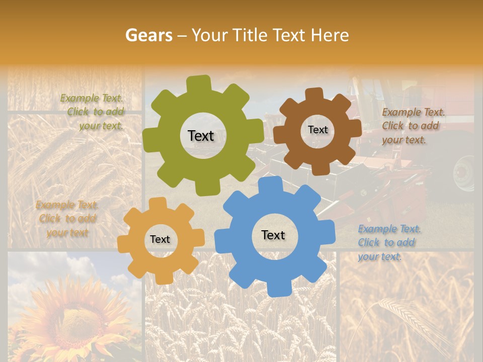 Sunflower Field Work PowerPoint Template