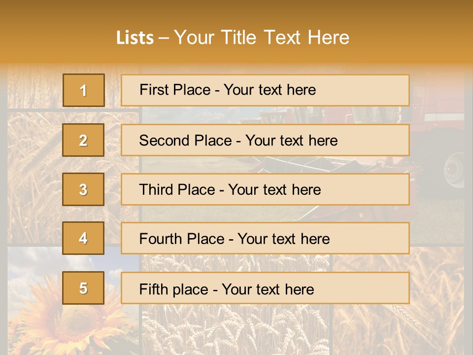 Sunflower Field Work PowerPoint Template