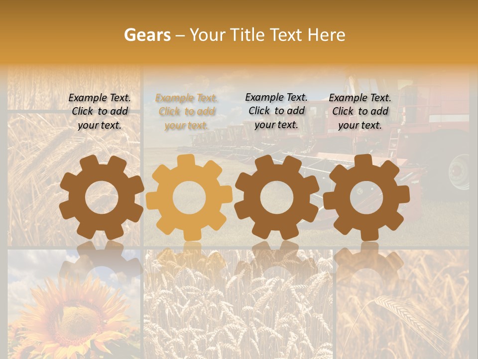 Sunflower Field Work PowerPoint Template