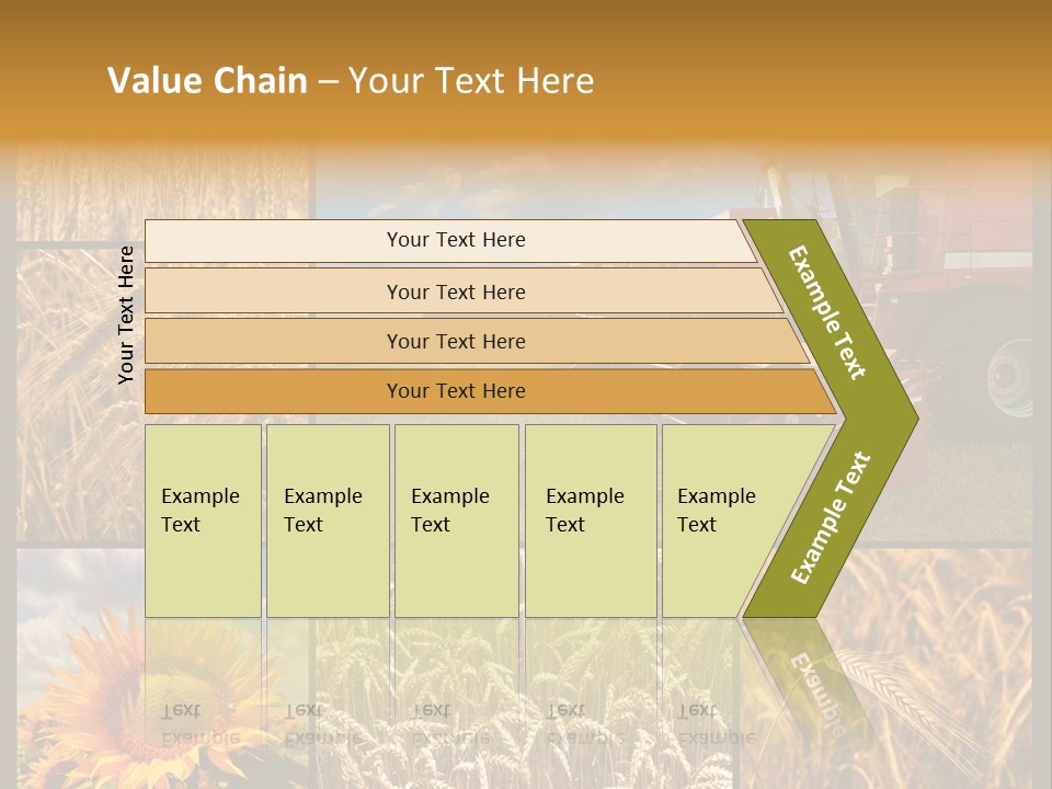 Sunflower Field Work PowerPoint Template