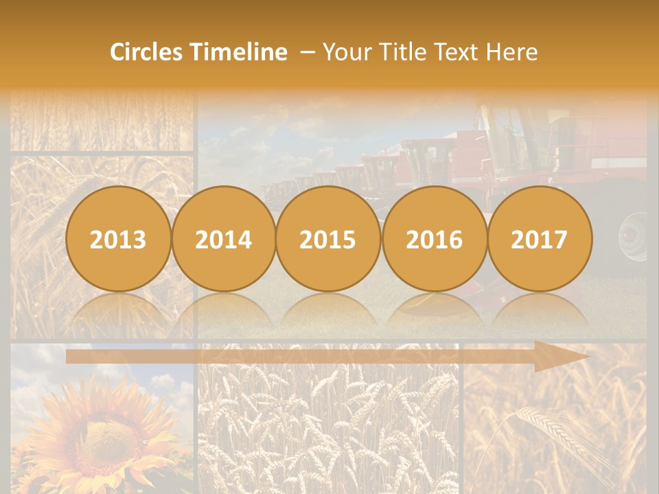 Sunflower Field Work PowerPoint Template